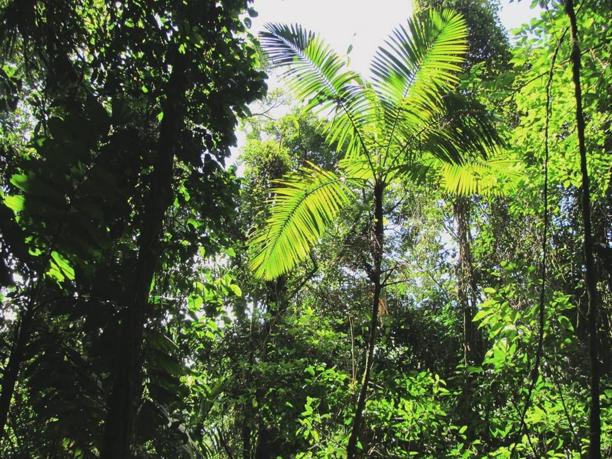 nature costa rica