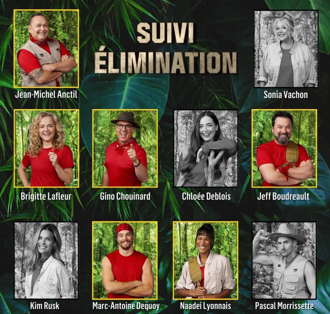 elimination sonia vachon sortez moi dici