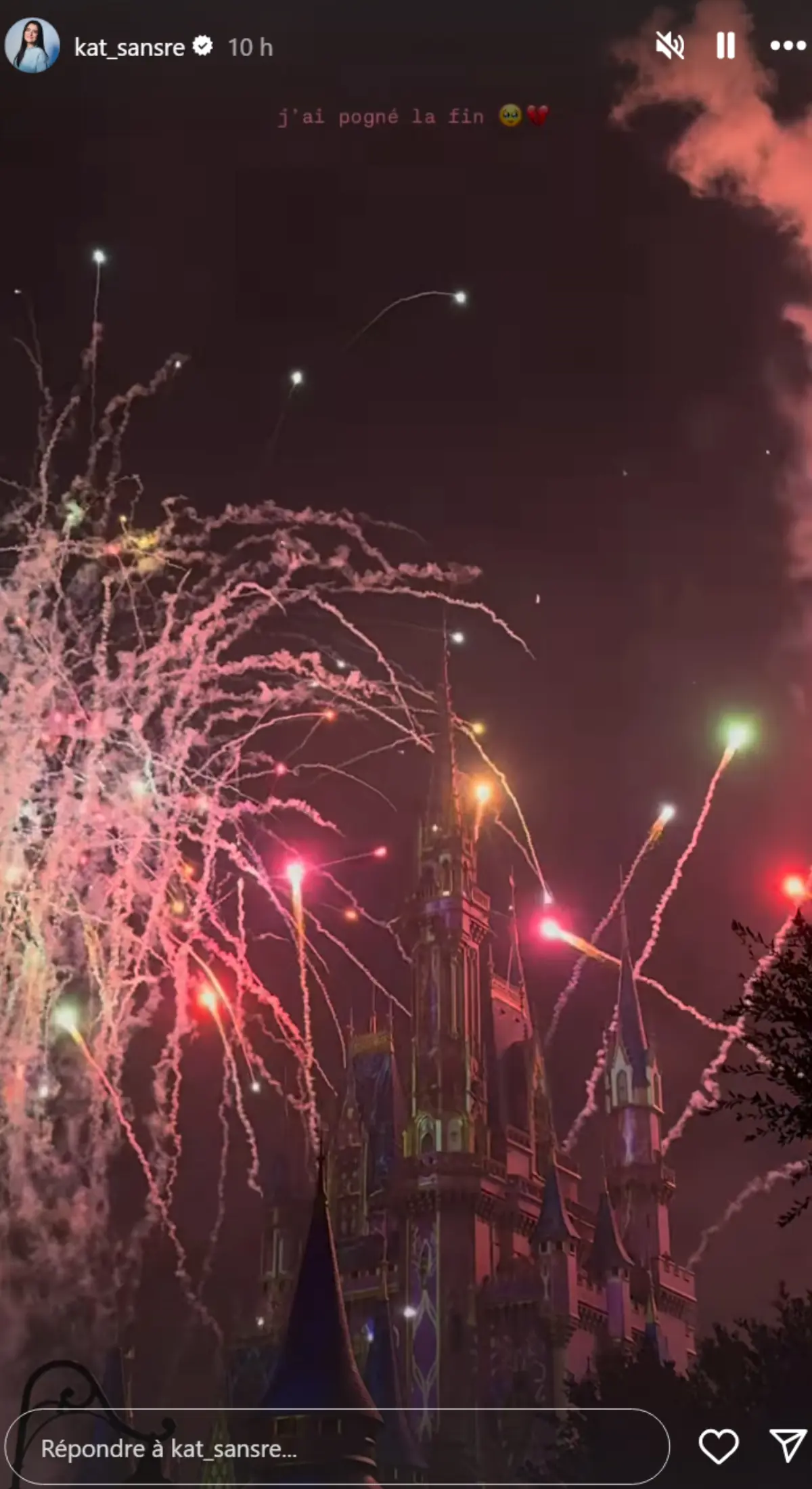 Katrine Sansregret-Disney-feux