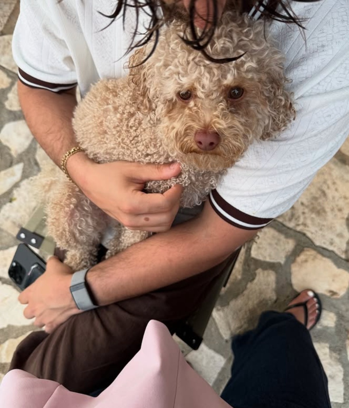 Lou-pascal tremblay-vacances-chien