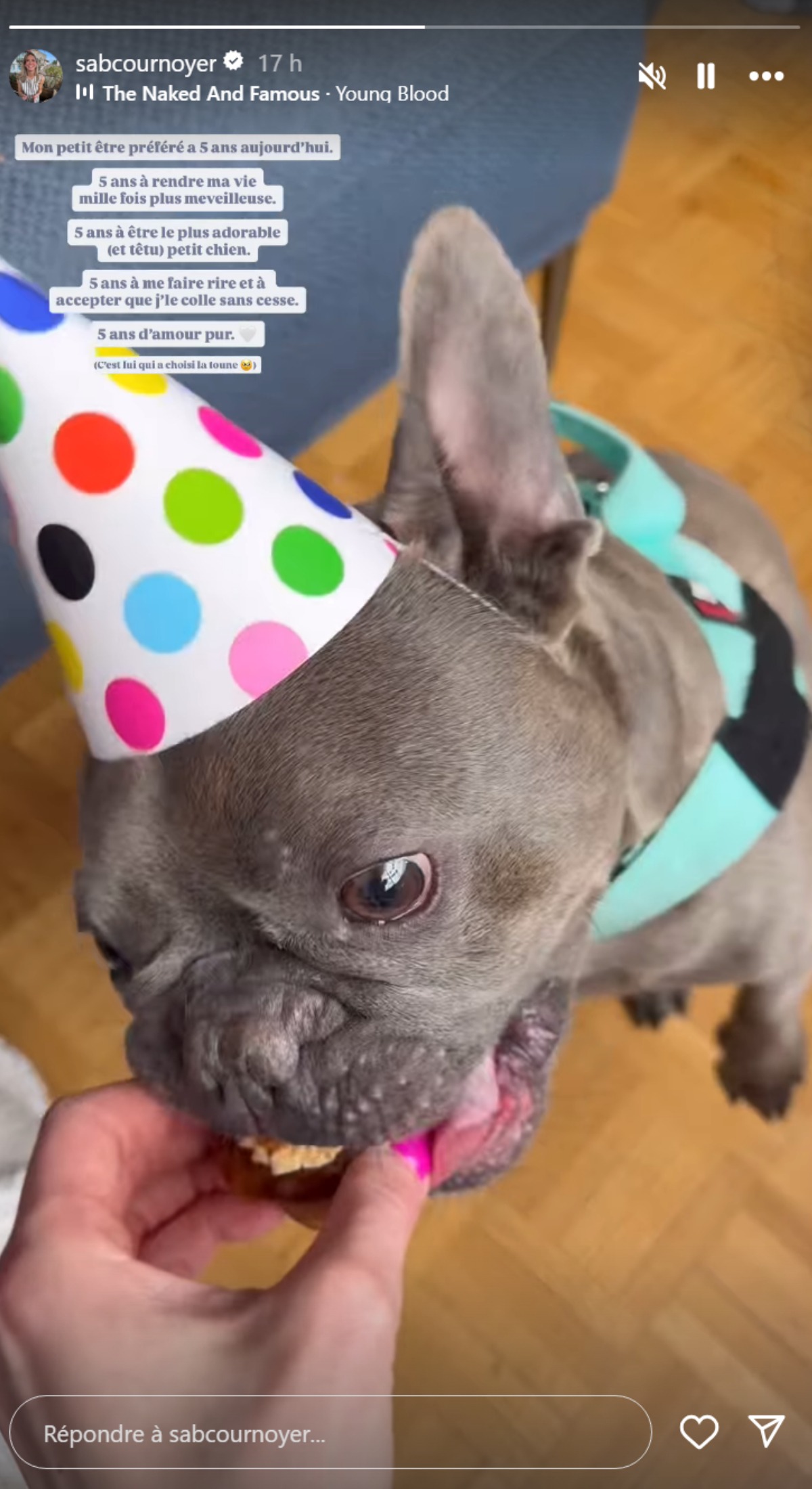 Sabrina Cournoyer-chien-fete