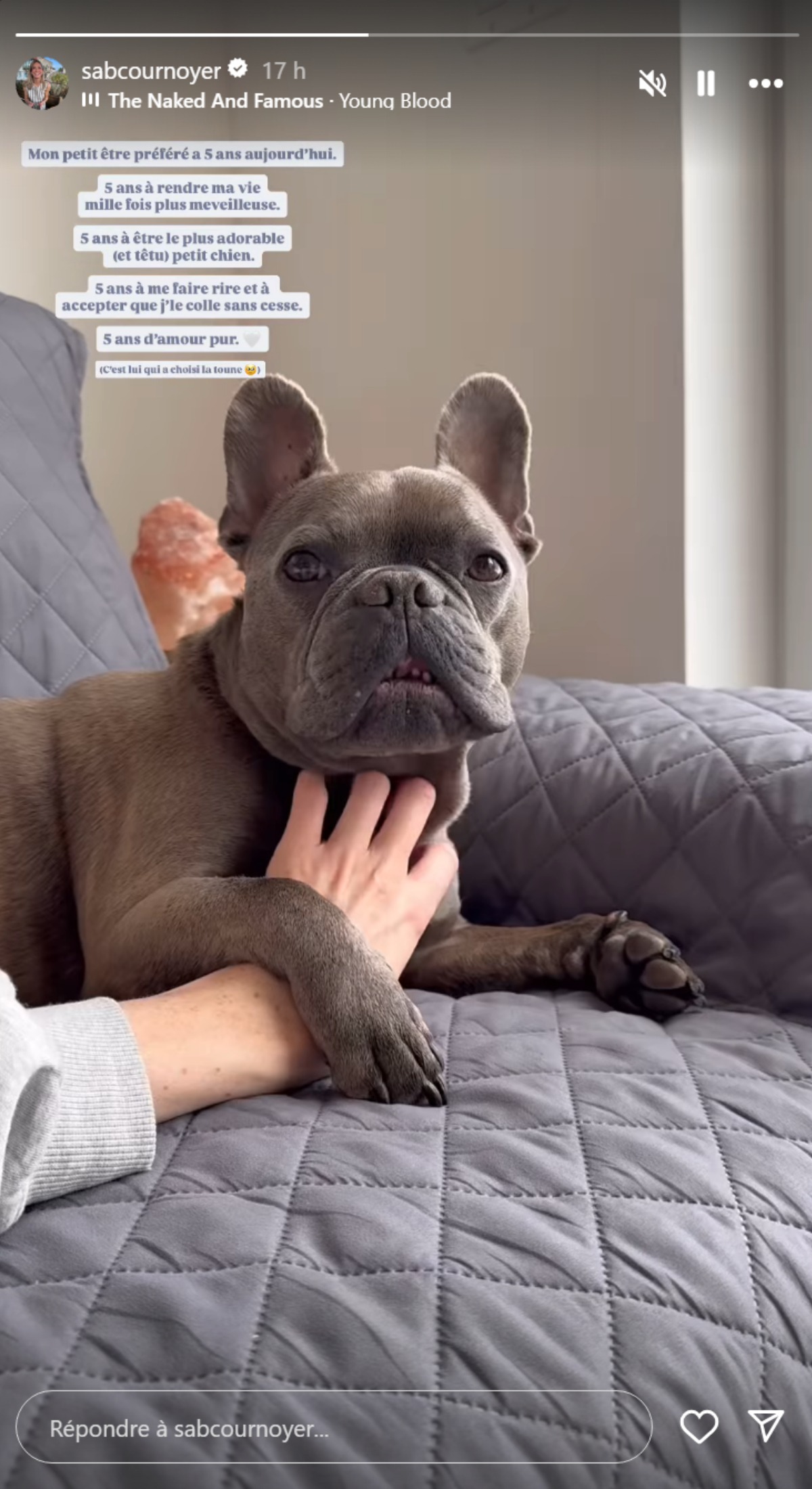 Sabrina Cournoyer-chien