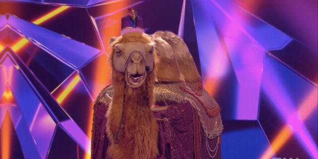 Personne n’a vu venir qui se cachait sous les bosses du chameau à Chanteurs Masqués