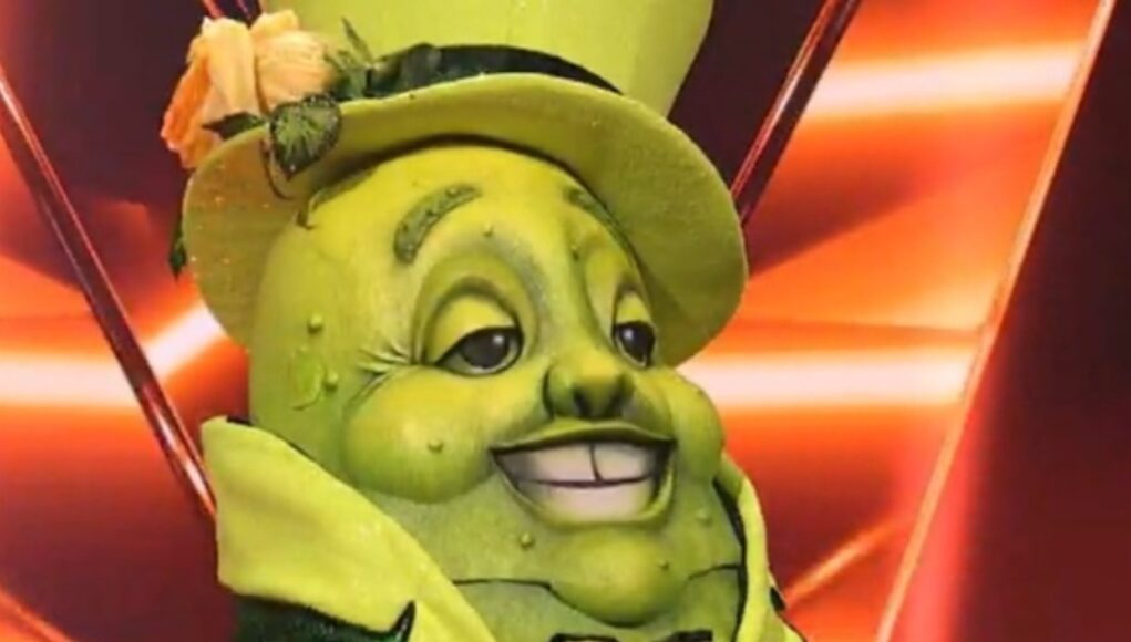 Chanteurs masqués - monsieur cornichon