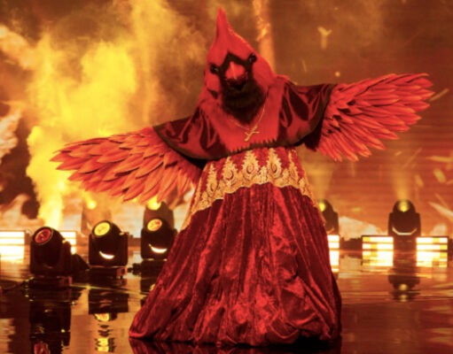 Les participants éliminés surprennent pour la finale de Chanteurs Masqués