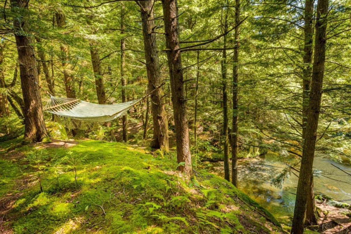 ruisseau chalet la vraie nature