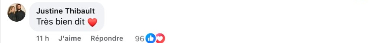 Commentaire justine thibault