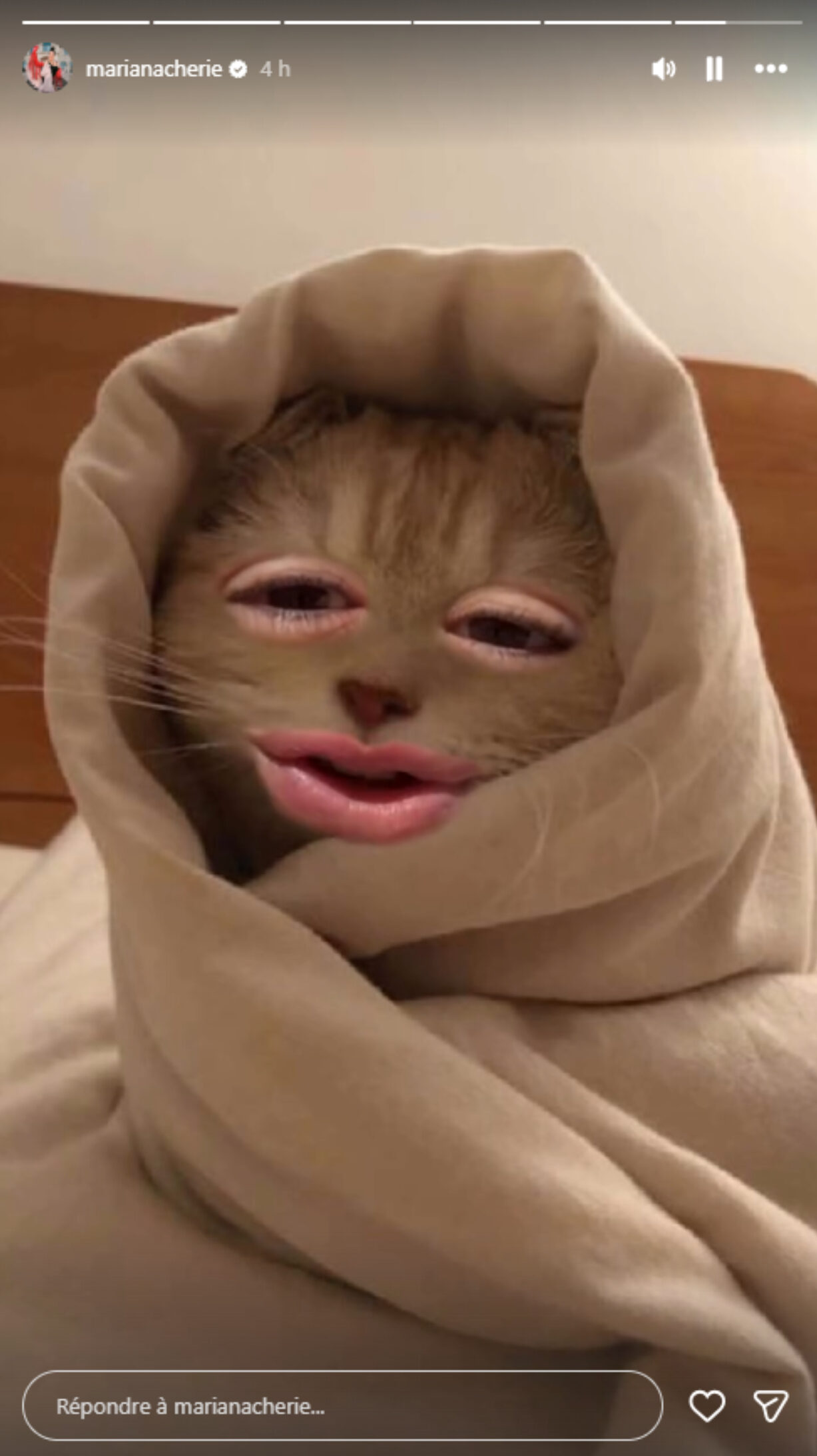 Mariana Mazza martinique