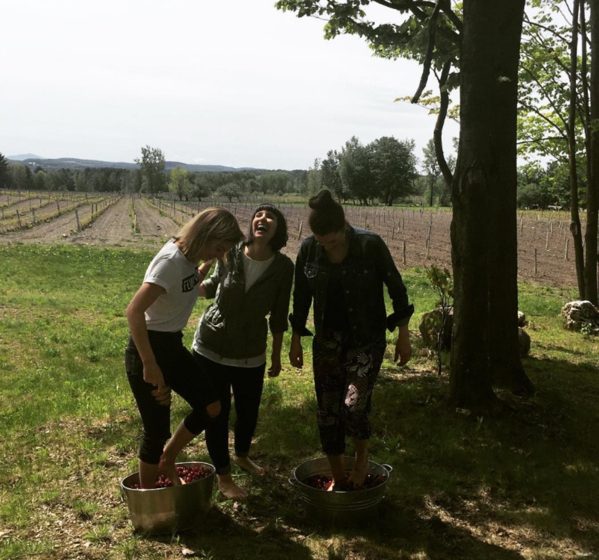 Marie-Lyne Joncas vignoble Les Crues