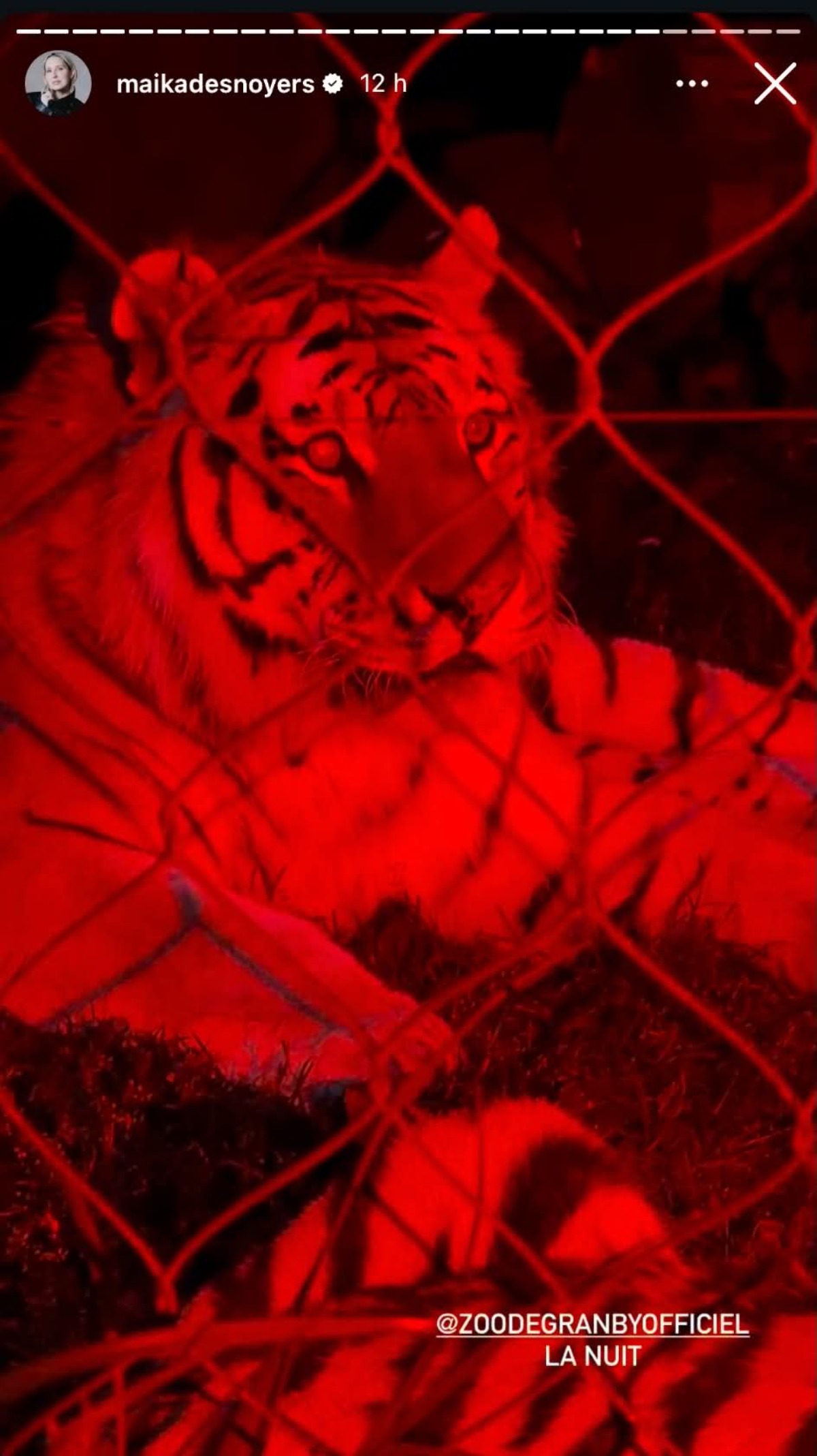 Fin de semaine au Zoo
