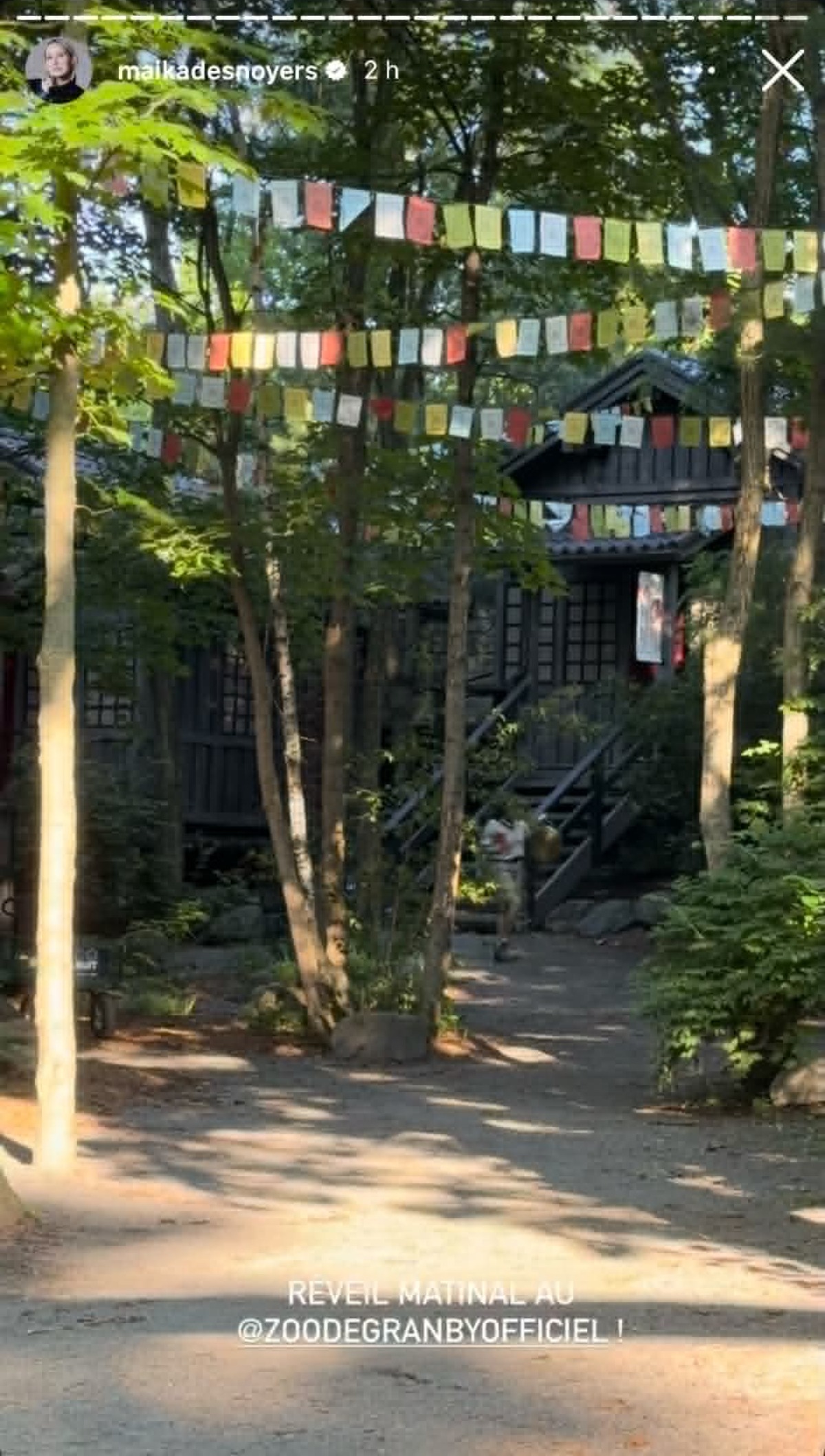 Fin de semaine au Zoo