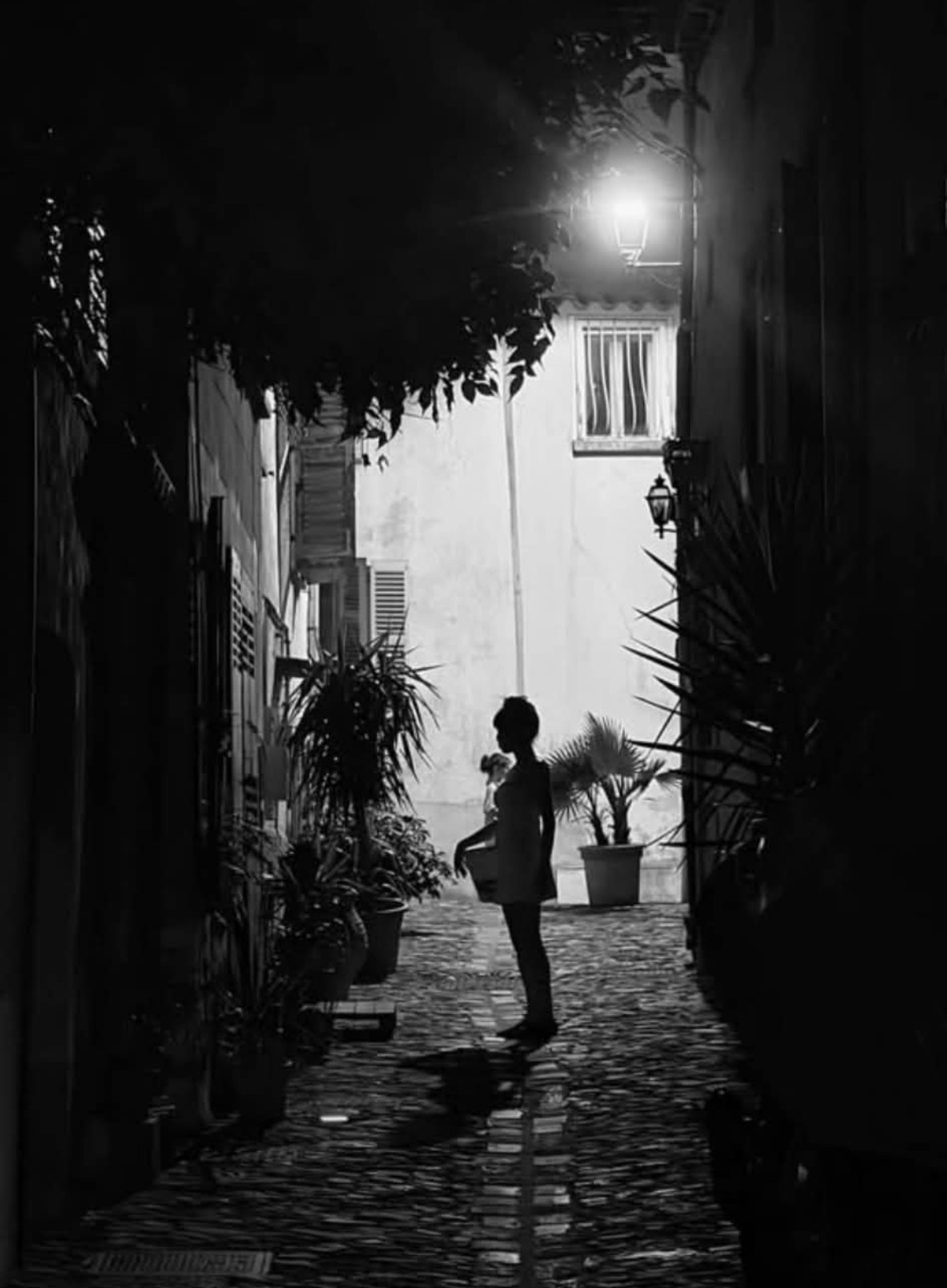 Voyage Provence