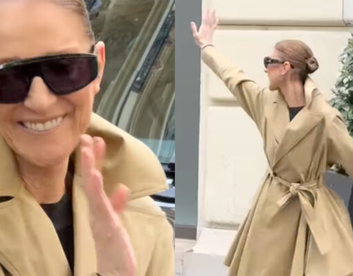 Loin du Québec, des images de Céline Dion et ses jumeaux font réagir